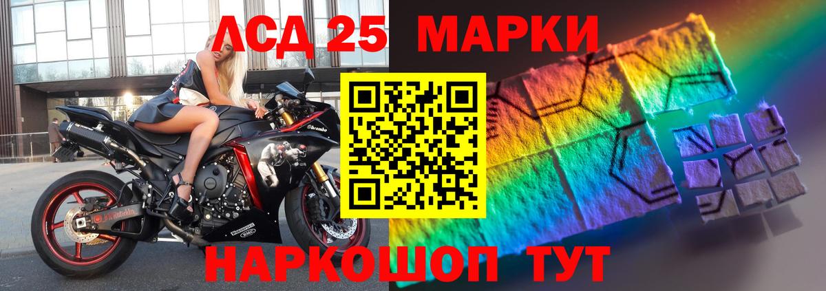 mega рабочий сайт  Вход с VPN  LSD-25 экстази кислота  Курчалой  LSD-25 экстази кислота 