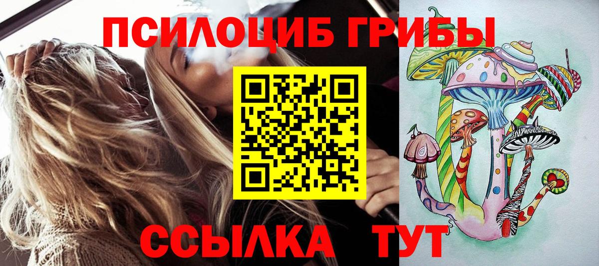 Псилоцибиновые грибы MAGIC MUSHROOMS  даркнет сайт  Курчалой  Вход с VPN 