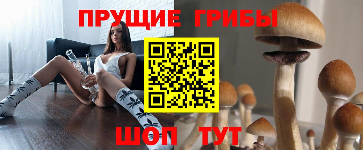 Экстази  Гашиш  Курчалой  Вход с VPN  Меф   Кокаин  Канабис  Лсд 25 